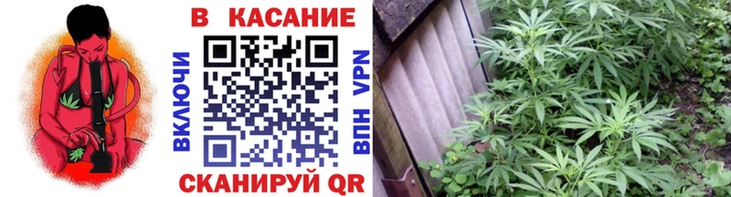 Купить наркотики сайты Городец блэк спрут зеркало  Мефедрон  Псилоцибиновые грибы  ГАШИШ  АМФ  ГЕРОИН 