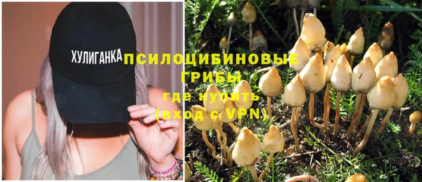 a pvp Богородицк