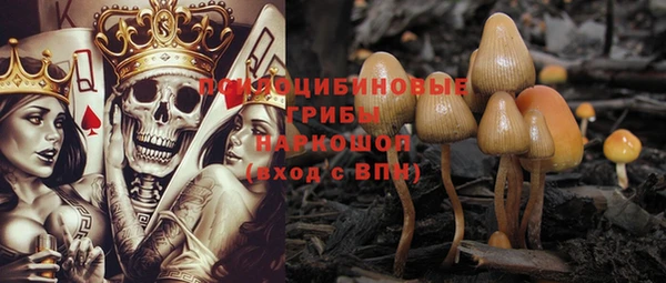 a pvp Богородицк