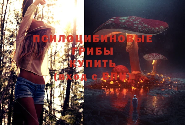a pvp Богородицк