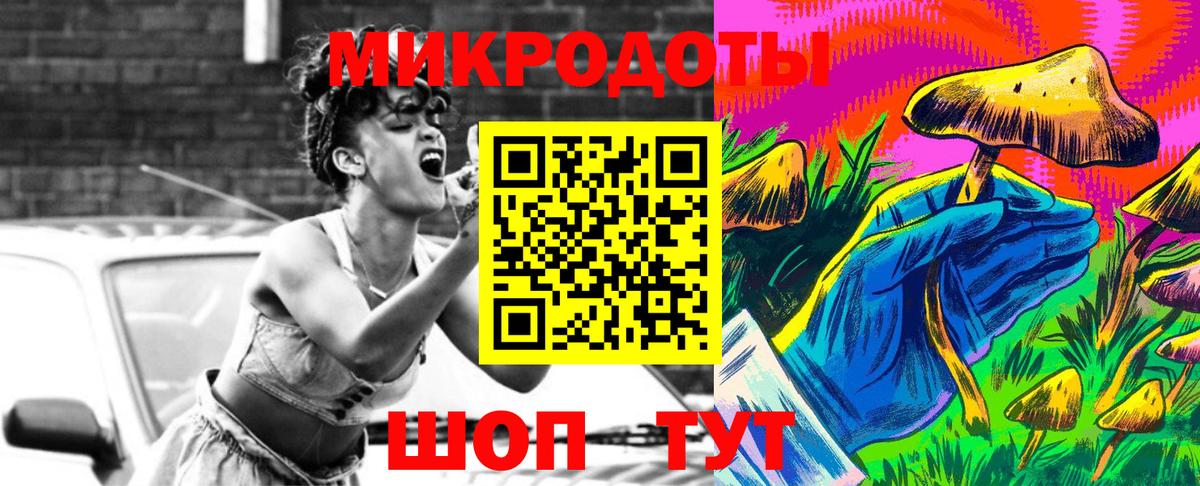 Галлюциногенные грибы Psilocybine cubensis Городец